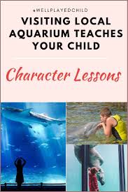 Lessons Visiting Local Aquarium Teaches Your Child Character Lessons Kids Activities Near Me Kids Vacation