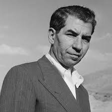 Salvatore Lucania's Instagram, Twitter & Facebook