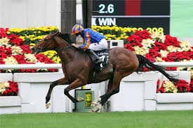 Knicks go broke from post 5 as the 9/5 favorite under joel rosario and went straight to the lead this was never something that we even had on our target when we ran this horse a month ago or. Dubai World Cup Knicks Go And Charlatan Head 176 Entries For 25th Edition Racing And Sports