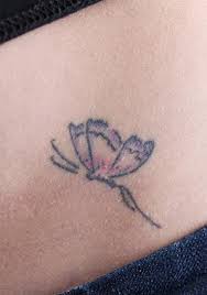 Rebecca, a former actress, was scarred both physically and emotionally in an attack by a crazed fan and now struggles to move past the attack and create a new life for herself. Types Of Butterfly Tattoos Lovetoknow