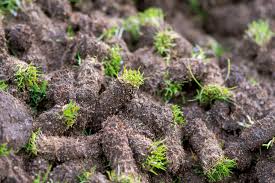 You can also plan to apply fertilizer after a certain time later from the overseeding on your lawn. Best Time For Lawn Aeration In Minnesota Rock Solid Landscapers