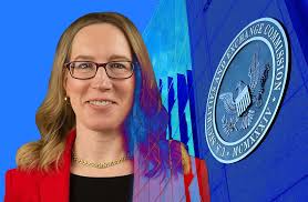 Who is Hayden Davis? Milei and Melania partner says he doesn't want $100m  stash