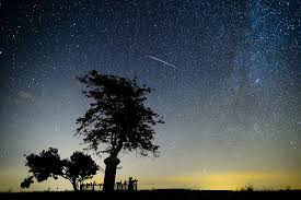 Pictures In The News With Images Meteor Shower Perseid Meteor Shower Meteor