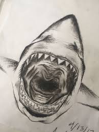 Charcoal Regular Printing Paper Drawings Shark Charcoal Zoo Drawing Animal Drawings Drawings