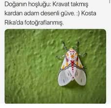 Gulcesu Cevizci Adli Kullanicinin Aga Bee Panosundaki Pin Eglenceli Gercekler Biliyor Muydunuz Bilim Doga