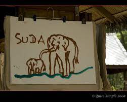 A painting by Suda the elephant | Een schilderij van Suda de… | Flickr
