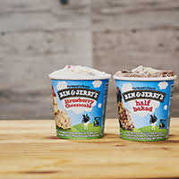 Paix, amour et crème glacée. Ben Jerry S Non Dairy Becher