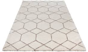 Gratis versand ab 75 € 30 tage rückgaberecht jetzt online bei otto shoppen! Hochflor Teppich Lasar My Home Rechteckig Hohe 25 Mm Besonders Weich Durch Microfaser Wohnzimmer Online Kaufen Otto