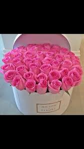 Roses Maisoon De Fleur Pink Flowers Pink Roses Flowers