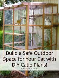 build a diy catio for your cat