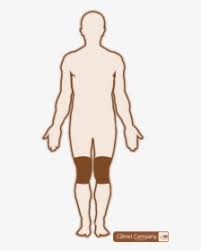 Outline Drawing Of Human Body Png Download Male Body Outline Template Transparent Png Transparent Png Image Pngitem The best selection of royalty free body outline male vector art, graphics and stock illustrations. outline drawing of human body png