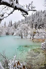 Beautiful Winter Dreamy Nature Manzara Resimler Goller