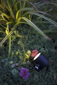 sfeerverlichting tuinverlichting buitenverlichting tuin totaal