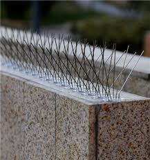 Diy bird spikes is a very economical and simple way to effectively reduce the your bird spikes installation service. 5 Rows Bird Control Product Plastic Anti Pigeon Spikes Security Fence House Fence Design Fence Wall Design