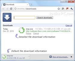 view file download details in chrome