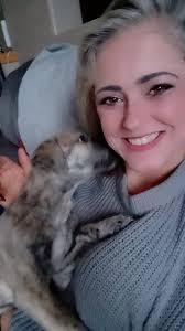 Red Deer's Lost and Found Animals!