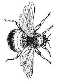 17 Bumble Bee Coloring Pages Bumble Bee Coloring Pictures 1 Free Bij Tekening Dierentekening Dieren Tekenen