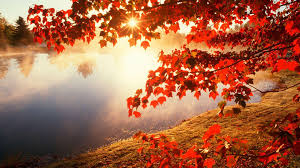 We did not find results for: Autumn Leaves And Landscapes Wallpapers Wallpaper Cave