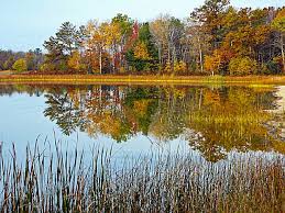 1 reviews, 1 photos, & 0 tips from fellow rvers. Mill Bluff State Park A Wisconsin State Park Located Near Tomah