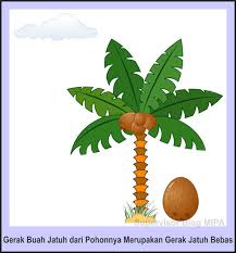 Donal bebek dan kwik, kwek, kwak yang menggemaskan. 96 Gambar Pohon Kelapa Kartun Cikimm Com