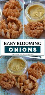 Blooming Onions Recipe Easy Appetizer Recipes Blooming Onion Recipes Appetizer Recipes