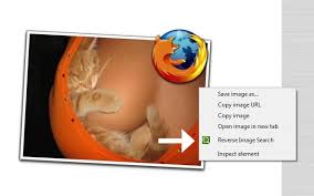 Reverse Image Search