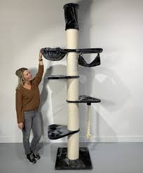 En bref, c'est l'un des plus grands chats domestiques. Kratzbaum Maine Coon Tower Crown Dark Grey Tierwebshop
