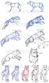 Zeichnen Lernen Tutorial Hund Wolf Skizze Bleistift Erfolg Im Abitur Mit Zentr Abitur Bleistift Erfolg Hund I Wolf Sketch Animal Drawings Wolf Drawing