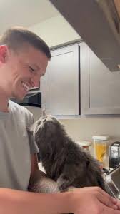 Part90: “My cat fell in love with my boyfriend ❤️”#catsoftiktok #catlover  #love #petlover #clingy #cat #cutecat #boyfriends #usa #petlover  #petsoftiktok