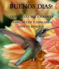 Que Tu Luz Sea Radiante Llena De Luz Y Esperanza Dios Te Bendiga Acepta El Amor Acepta Este Mi Fotos Buenos Dias Buenos Dias Primos Saludos De Buenos Dias