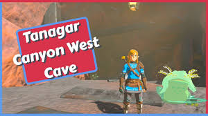 Tanagar Canyon West Cave Bubbulfrog Location | Zelda: Tears Of The Kingdom  (Totk)｜Game8