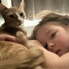 Fundraiser by Katrina Greig : Urgent Help Needed for Family Facing  Homelessness