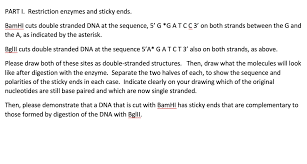 These sticky moments are much more important than scientists once thought. Solved Part I Restriction Enzymes And Sticky Ends Bamhi Chegg Com