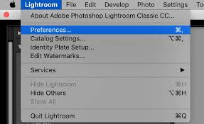 Without this setting, by default lightroom will hide presets that can't be fully applied. How To Install Lightroom Presets The Easiest Way Updated 2019