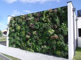 Mur Vegetal Bordeaux Mur Vegetal Mur Vegetalise Jardins