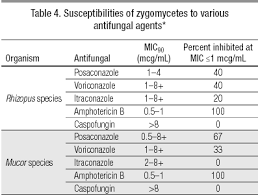 Rhinocerebral mucormycosis refers to an uncommon form of invasive fungal sinus infection. Https Www Ebmt Org Sites Default Files Migration Legacy Files Document Ecil 203 20zygomycosis 20guidelines Pdf