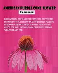 10 Echinacea Varieties To Grow Pictures Luv2garden Com Organic Gardening Books Organic Raised Garden Beds Echinacea
