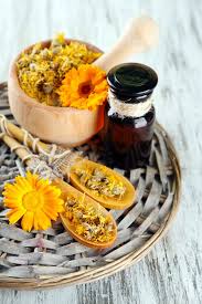 Calendula Decouvrez Ses Vertus Usages Et Recettes Bien Etre Recette Bio Alimentation Huile De Calendula
