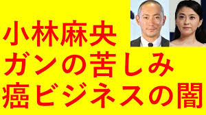 「小林麻央 癌」の画像検索結果