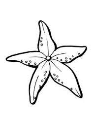 Muscheln, ein seestern und ein fisch. Seestern Bilder Zum Ausdrucken Google Suche Lustige Malvorlagen Seestern Tattoo Schultute Basteln