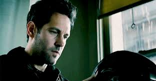 Flustered (Scott Lang x Reader)