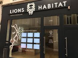 Une façon de limiter ces risques est d'opter pour le rachat d'une enseigne existante, une agence immobilière indépendante déjà installée dans le quartier et forte d'un listing de clients (à ce sujet, voir notre comparatif). Enseigne Lumineuse Retro Eclairage Leds Agence Immobiliere Lille