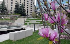 Duke in Pics: Signature Spring Scenes ...