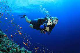 Where To Dive In Jamaica Round Hill Blog Montego Bay Jamaica