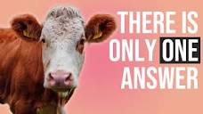 Everything you need to know about VEGANISM | Animal rights ...