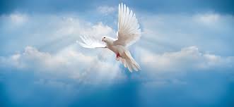 Ἀδελφοί, ὡς τέκνα φωτὸς περιπατεῖτε· ὁ γὰρ καρπὸς τοῦ πνεύματος ἐν πάσῃ ἀγαθωσύνῃ καὶ δικαιοσύνη καὶ ἀληθείᾳ· δοκιμάζοντες τί. Ti Giortazoyme Toy Agioy Pneymatos Katerina Tsemperlidoy