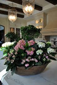 Mid Week Musings The Enchanted Home Hydrangea Potted Beautiful Hydrangeas Flower Arrangements
