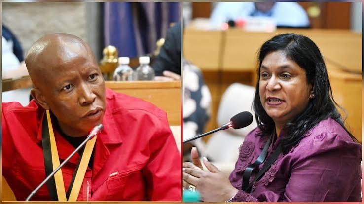 Julius Malema Compares IDAC Head Adv. Andrea Johnson to Winnie Mandela - News live SA
