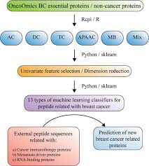 Definition of breast cancer in the definitions.net dictionary. Prediction Of Breast Cancer Proteins Involved In Immunotherapy Metastasis And Rna Binding Using Molecular Descriptors And Artificial Neural Networks Scientific Reports