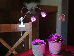 The 9 Best Grow Lights Of 2020